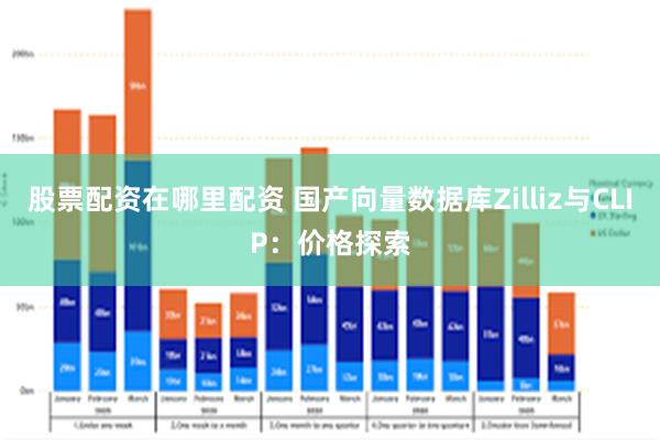 股票配资在哪里配资 国产向量数据库Zilliz与CLIP：价格探索