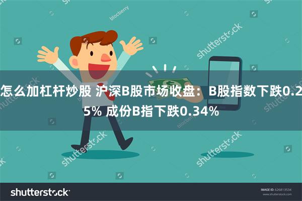 怎么加杠杆炒股 沪深B股市场收盘：B股指数下跌0.25% 成份B指下跌0.34%