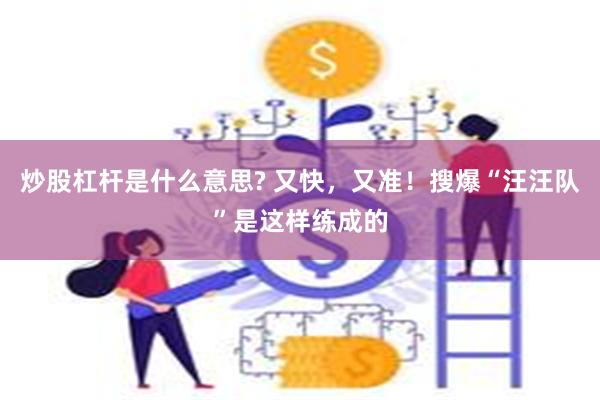 炒股杠杆是什么意思? 又快，又准！搜爆“汪汪队”是这样练成的