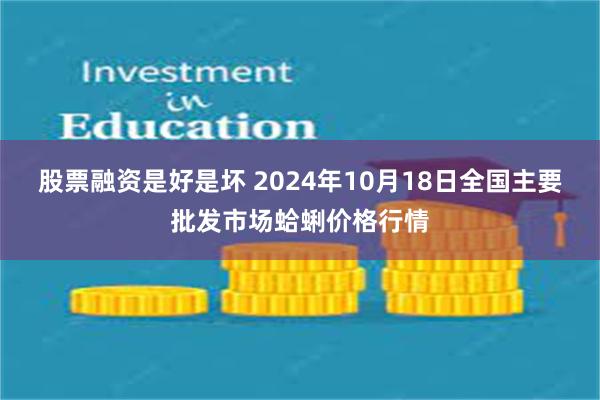 股票融资是好是坏 2024年10月18日全国主要批发市场蛤蜊价格行情