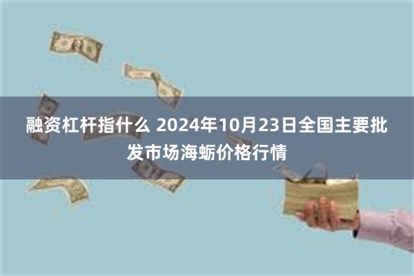 融资杠杆指什么 2024年10月23日全国主要批发市场海蛎价格行情