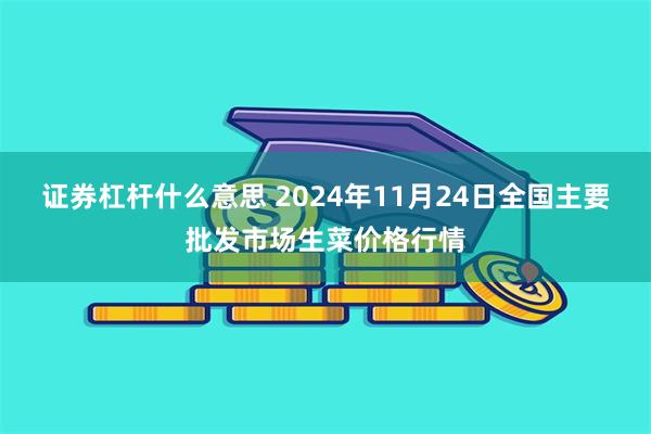 证券杠杆什么意思 2024年11月24日全国主要批发市场生菜价格行情