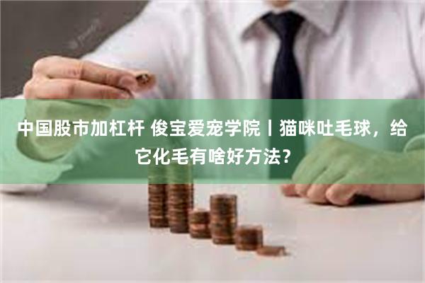 中国股市加杠杆 俊宝爱宠学院丨猫咪吐毛球，给它化毛有啥好方法？