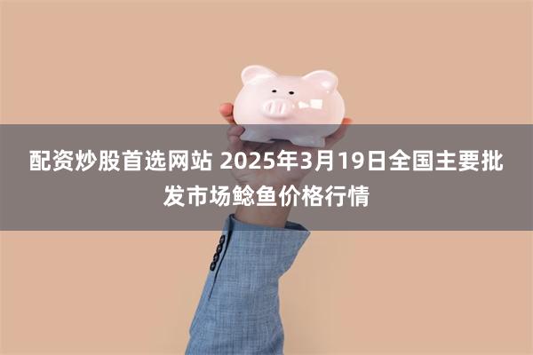 配资炒股首选网站 2025年3月19日全国主要批发市场鲶鱼价格行情